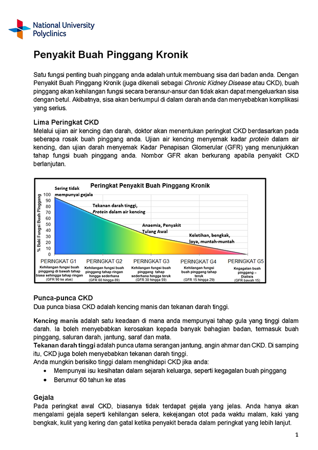 Chronic Kidney Disease (Malay)